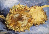 Gogh, Vincent van - Sunflowers